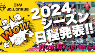 『JDリーグ2024年シーズンスケジュール発表：女子ソフトボールの頂点を目指して